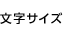 文字サイズ