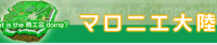 マロニエ大陸