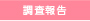 調査報告