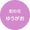 町の花ゆうがお