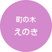 町の木えのき